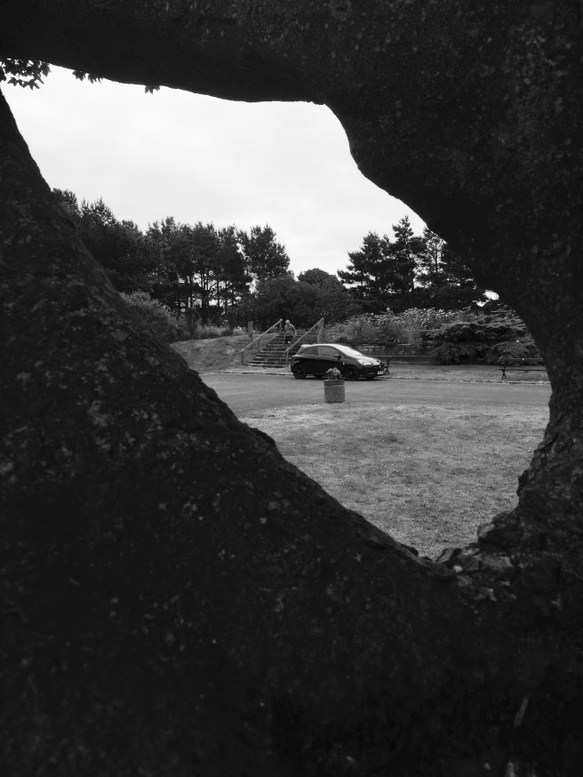 51AC749E-6772-4ABB-A83E-4AC355053E46