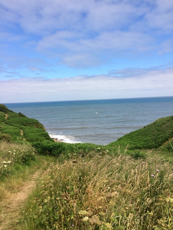 6A000C41-1126-410C-A063-EB1DD99E7D97