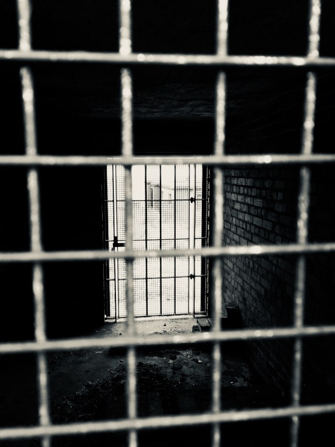 7F7B51B3-B18B-4D72-9277-51418436936C