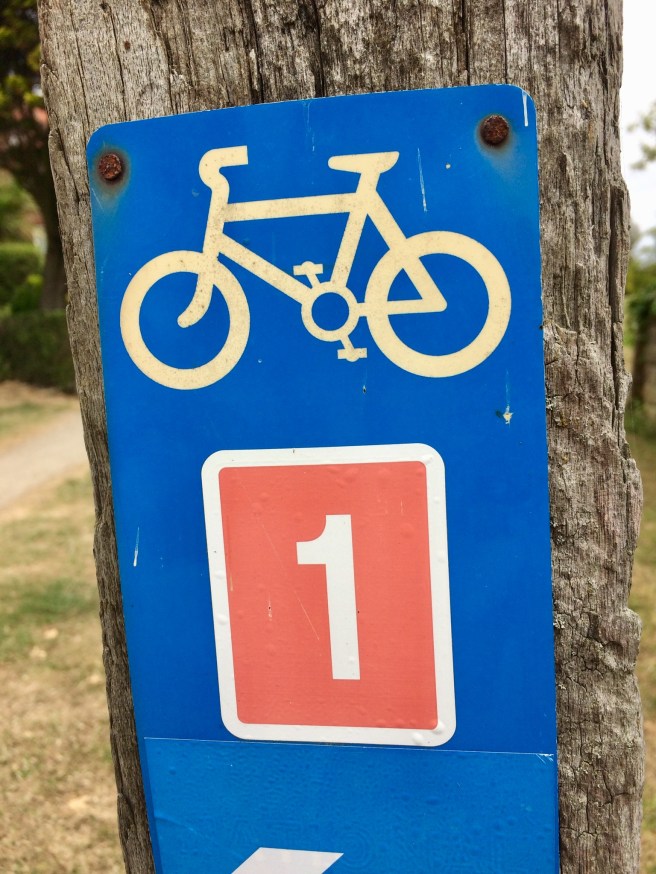 BF74DCBF-C1F5-4407-ABB9-B23DDBDB17B4