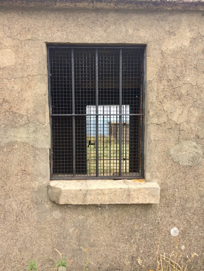 FD14043B-9969-4925-A825-539BFB08161C