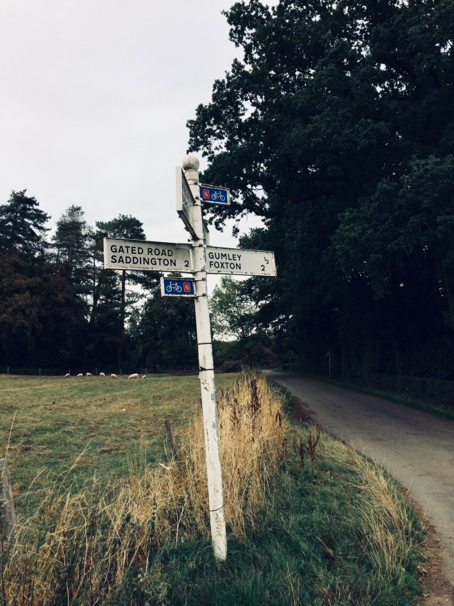 07FE6E58-36AD-4A24-B4AA-E80C4C8A1566