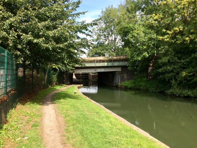 535B0CE0-AA49-4011-B03E-E0053298E200