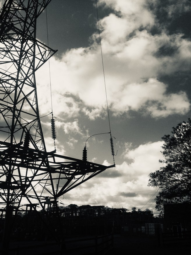 38EB8506-EAFC-41C0-8BD3-DE7208ADB7D3