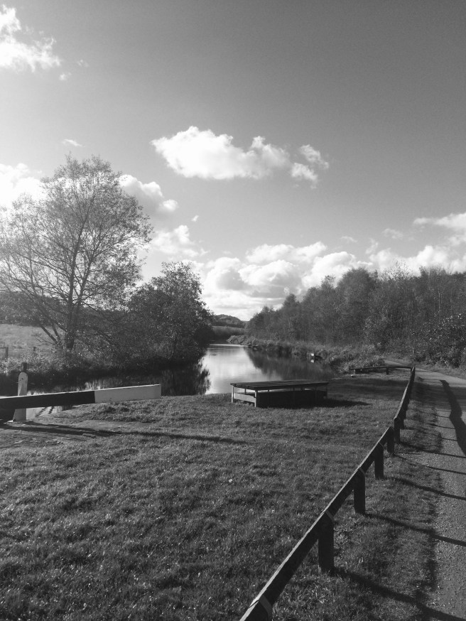 B553B845-D855-4E8D-8DAD-867D273AF171