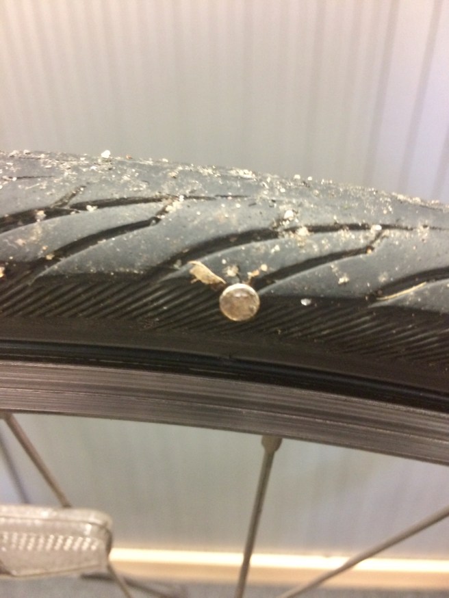 CC178D78-C83E-44B4-AA34-A1FE23347346