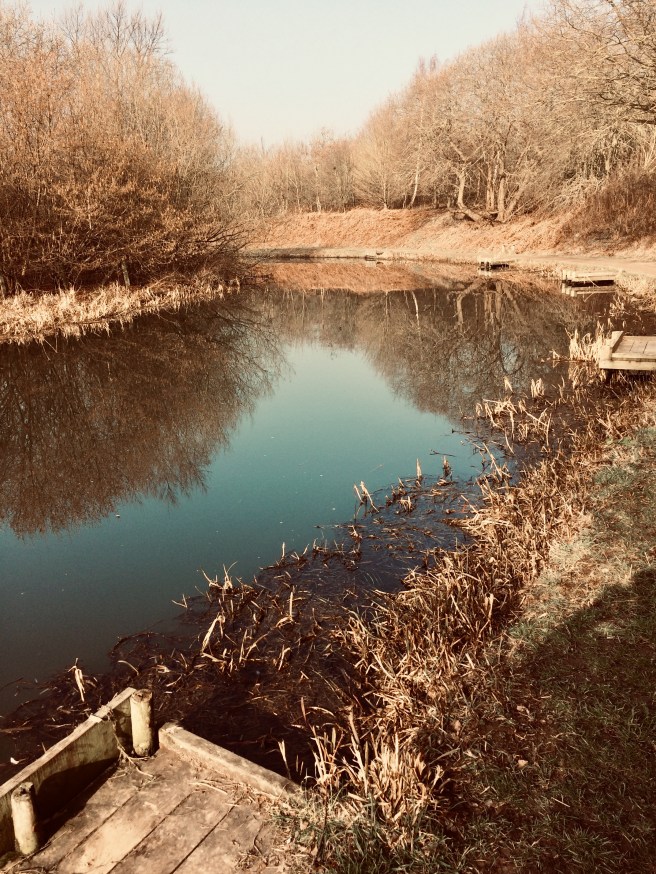 C02E046A-3B28-46E8-9D4C-9CD842D6826B