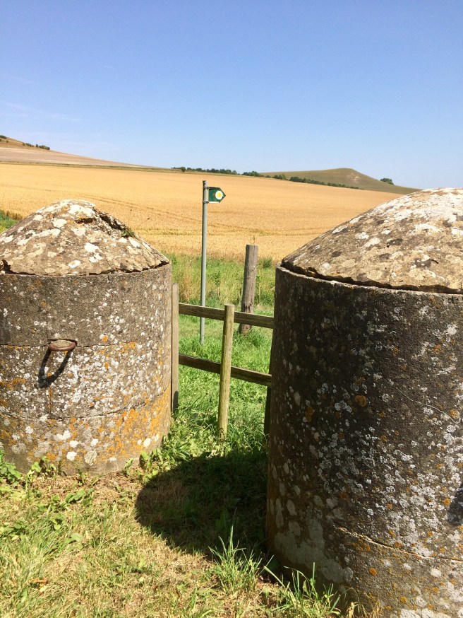 05ACD07B-4B01-45D8-93E4-2C80AA50132C