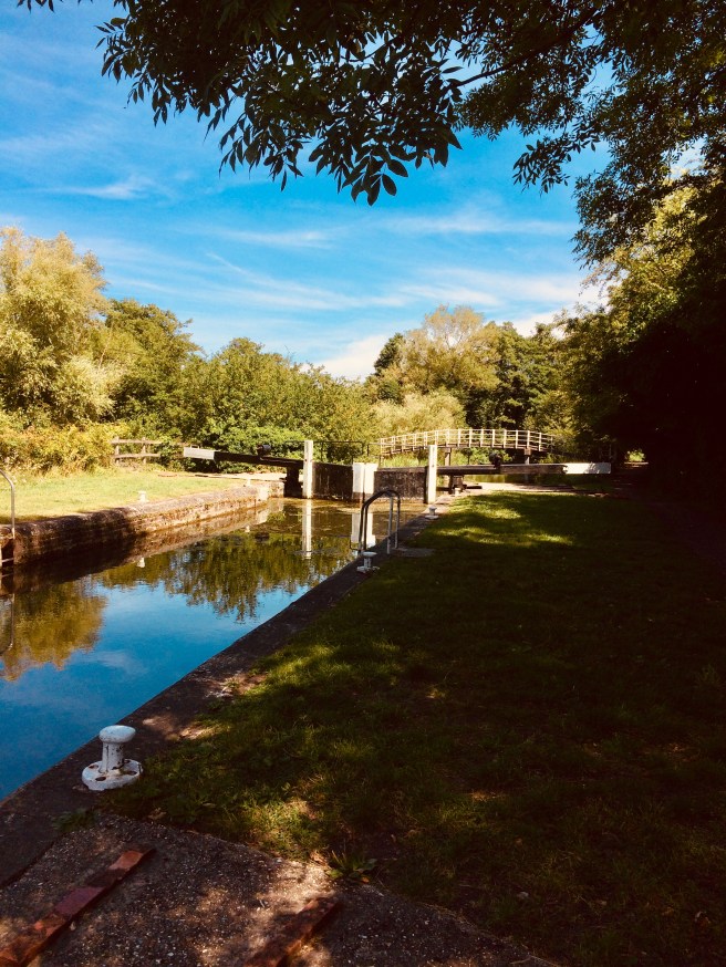 15D66799-5812-4395-B993-400942429E32