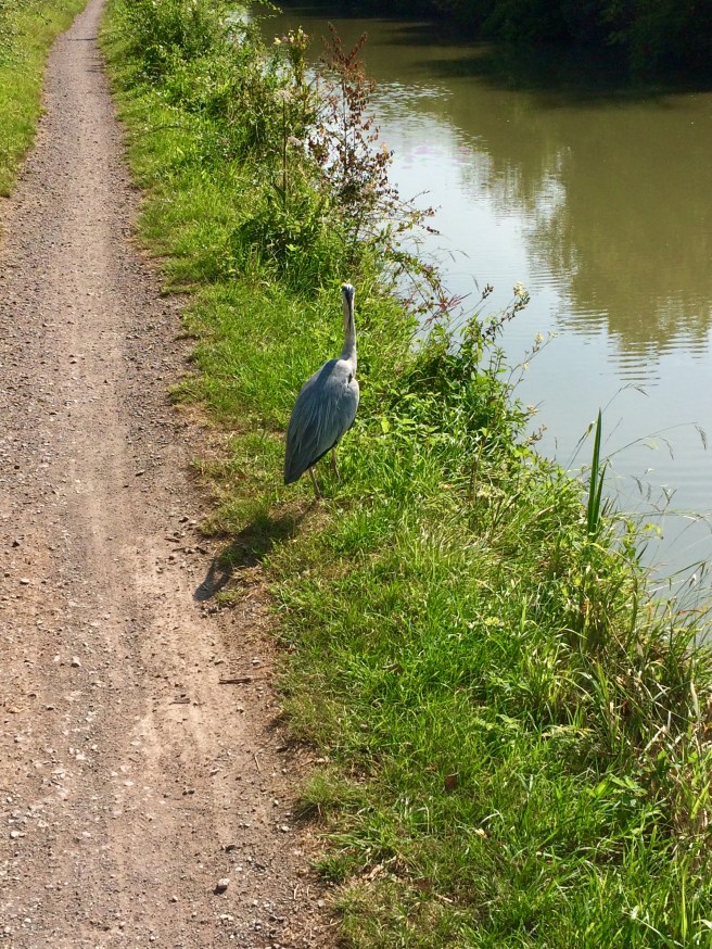 2C827772-DE67-4CB6-8A57-37ED75C0D367