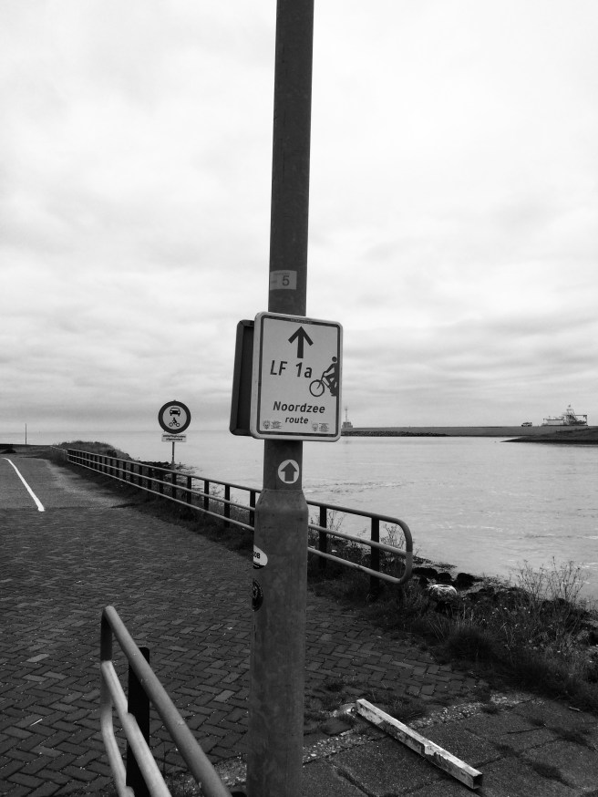 174B80A1-5D0F-48DB-A533-4E33BDC1B939