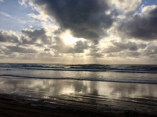 37E8140C-E398-4B1E-84AE-4D35412F23BE