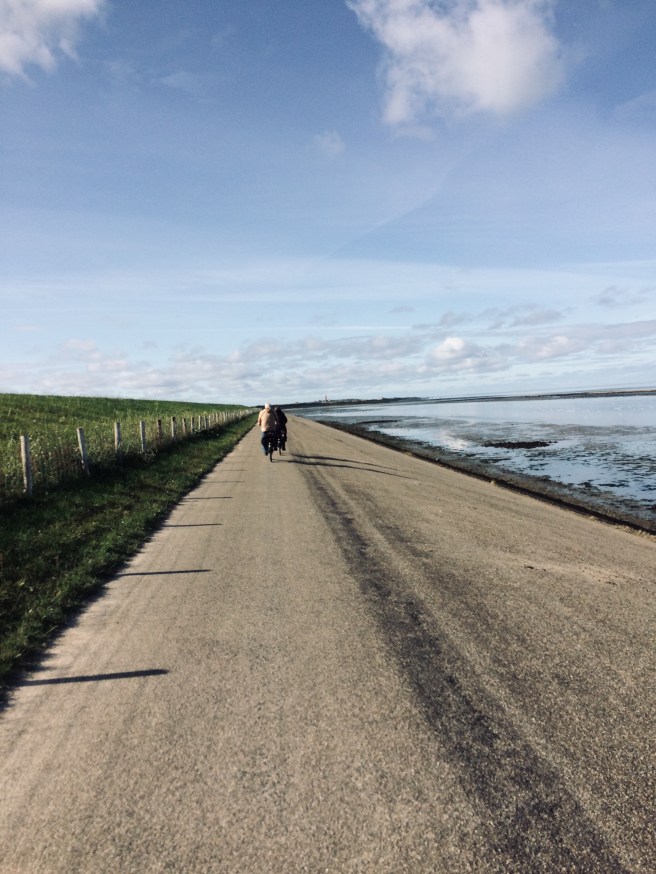 42A3B5D1-4F38-436D-941B-6820E3056D0D