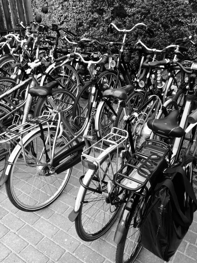 431AE16F-078A-4F51-9153-804E3015295A