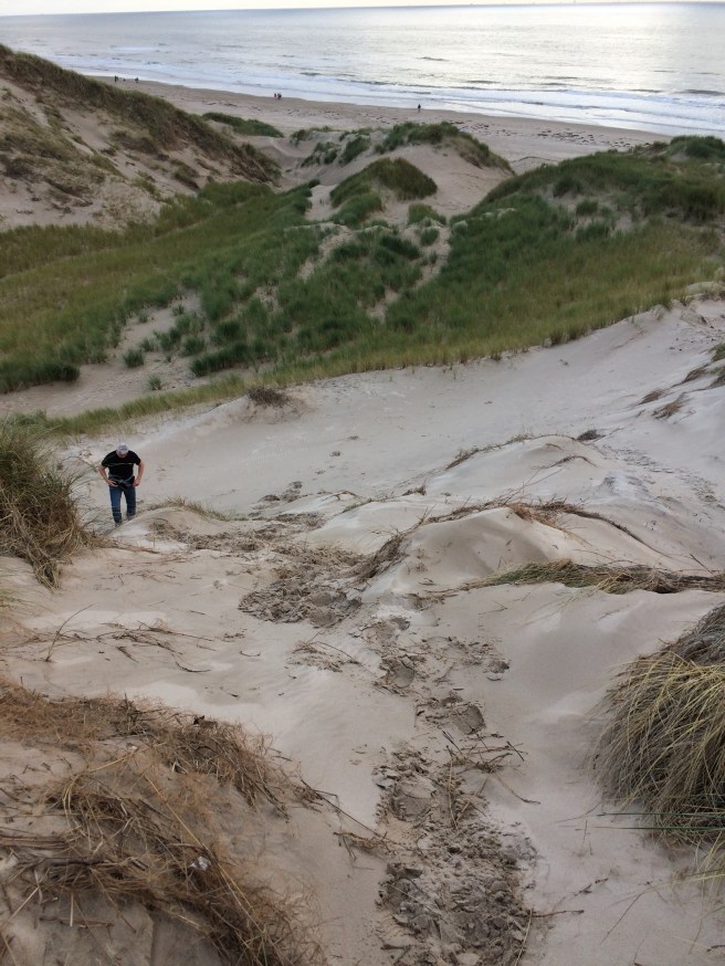 7797020D-DBE4-47E9-A1DC-22DE08F38367