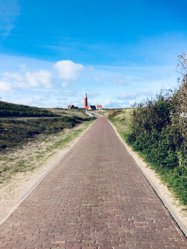 88E2016C-5F87-46B2-A78F-FDFF6D9BA560