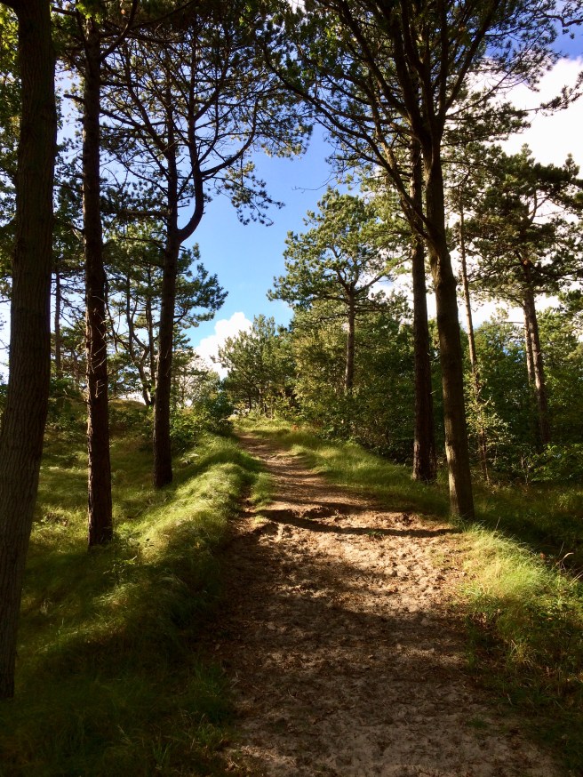 A5788C33-35A8-4968-BA0E-4DF535DBC303