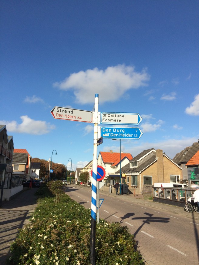 CC8CDFDC-0717-4BC9-A080-5A9B6789C8AA